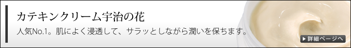 I[KjbN JeLN[F̉